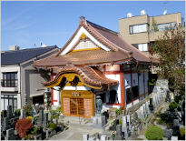 板金屋根・その他屋根工事-1